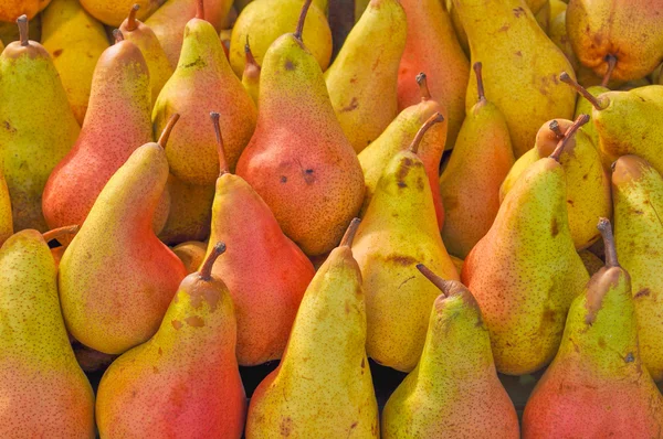 PEAR vruchten — Stockfoto