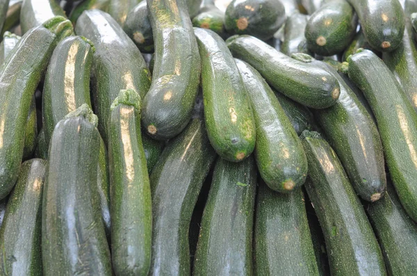 Zucchini mit Zucchini — Stockfoto