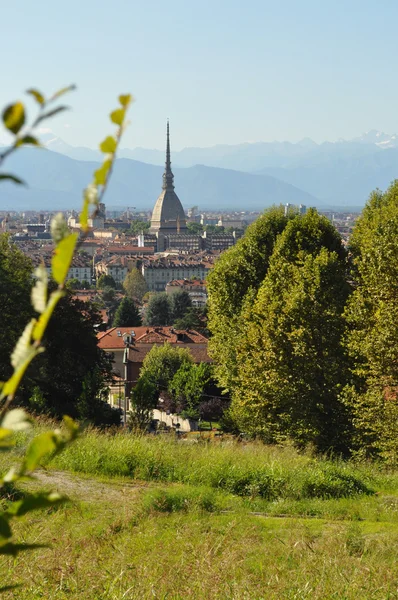 Topo Antonelliana Turín — Foto de Stock