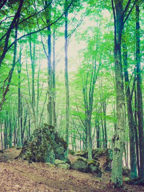 monte amiata retro görünümlü