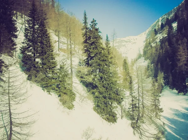 Bernina retro etsii — kuvapankkivalokuva