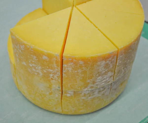 Fromage cheddar — Photo