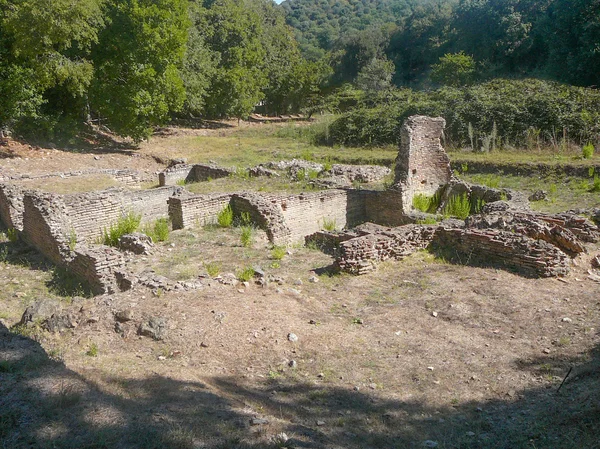 Roselle archeological park — Stock Photo, Image