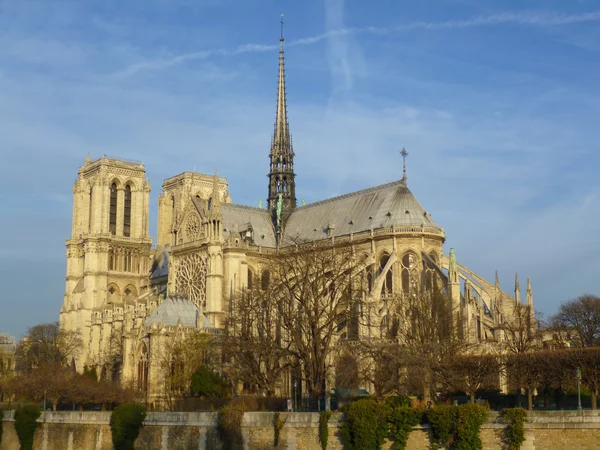 Notre Dame Parigi — Foto Stock