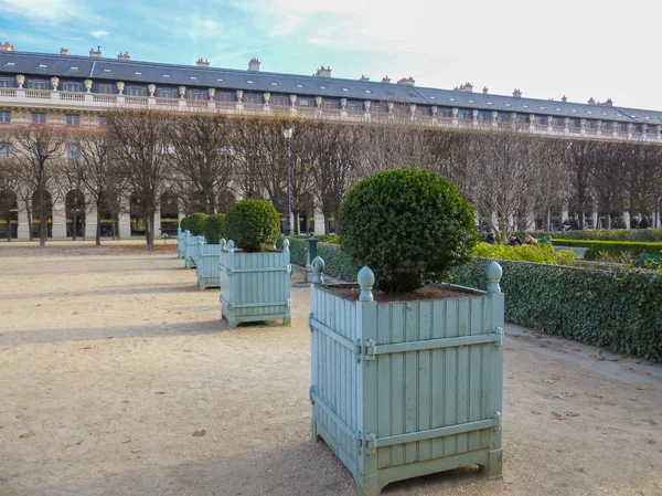 Palais royal Paryż — Zdjęcie stockowe