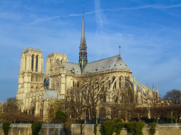 Notre Dame Paris — Stok fotoğraf