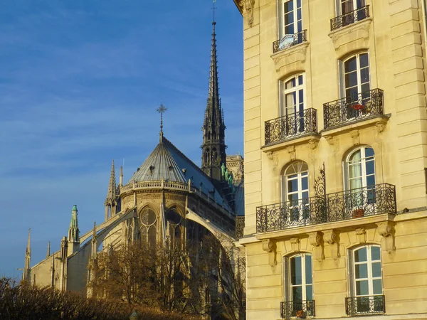 Нотр-Дам Парижа — стокове фото