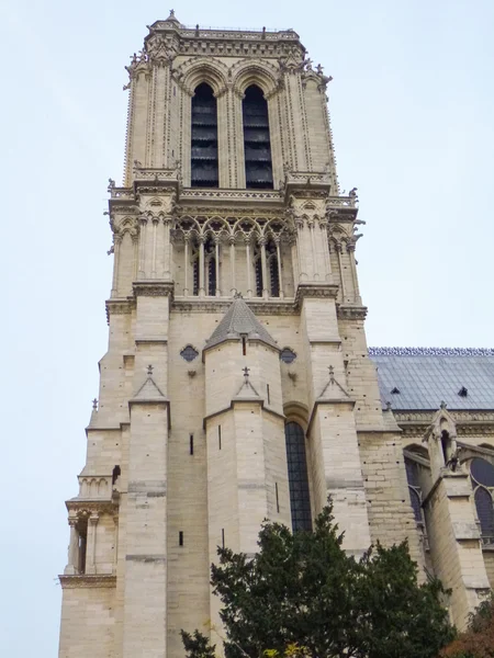 Notre dame Paříž — Stock fotografie