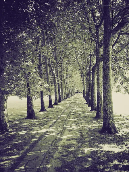 Jahrgang Sepia Padua, Italien — Stockfoto