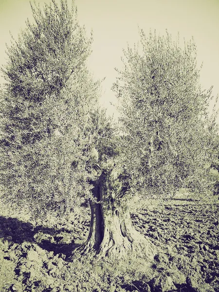 Vintage sepia sant attimo abdij, Italië — Stockfoto