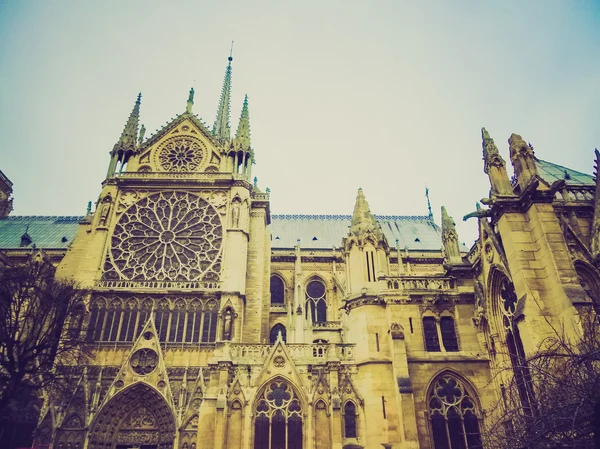 Olhar retrô Notre Dame Paris — Fotografia de Stock