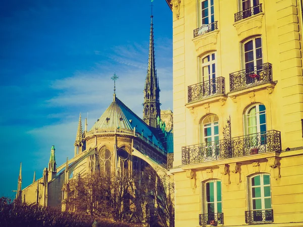 Look rétro Notre Dame Paris — Photo