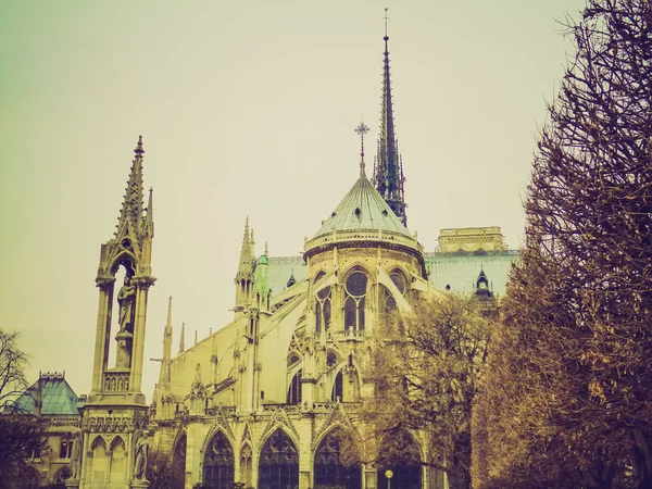 Olhar retrô Notre Dame Paris — Fotografia de Stock