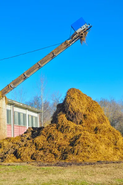 Heap of manure — Stock Photo, Image