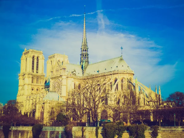 Retro look Notre Dame Paris — Stock Photo, Image