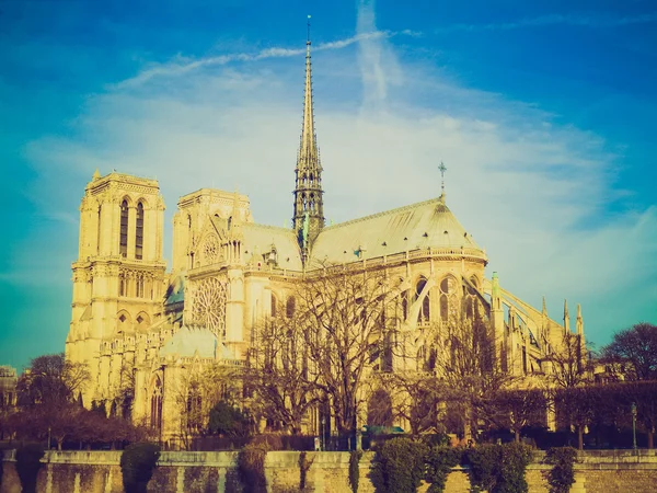 Olhar retrô Notre Dame Paris — Fotografia de Stock