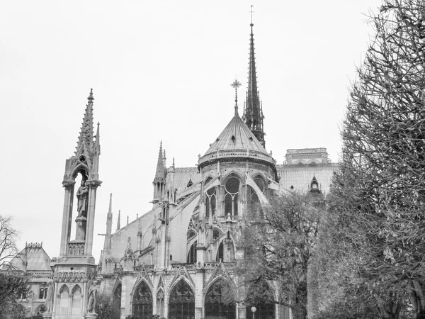 Notre Dame Paris — Stock Photo, Image