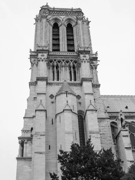 Notre Dame Parigi — Foto Stock