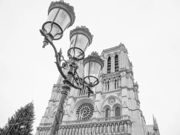 Senhora de notre Paris — Fotografia de Stock