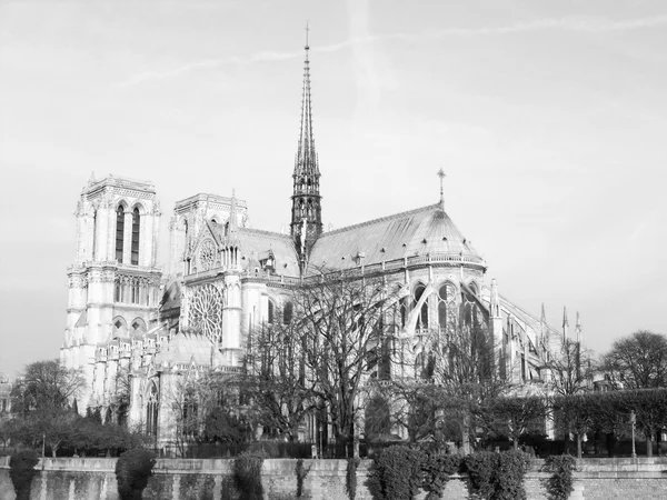 Notre Dame París —  Fotos de Stock