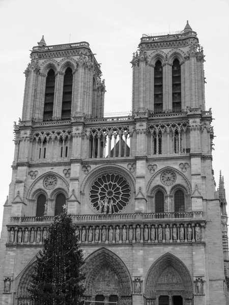 Notre Dame Parigi — Foto Stock