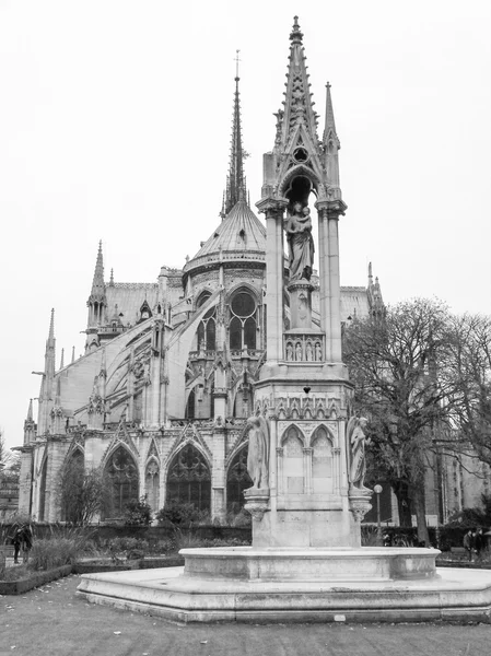 Notre Dame Parigi — Foto Stock