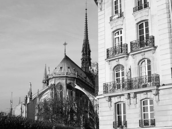 ノートルダム大聖堂パリ — ストック写真