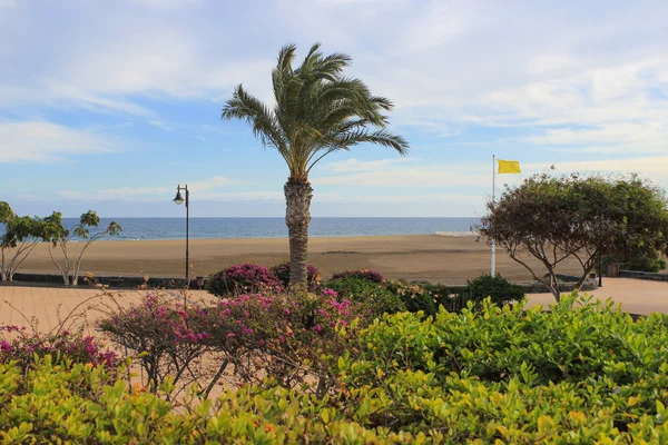 Lanzarote pláž na španělských Kanárských ostrovů — Stock fotografie