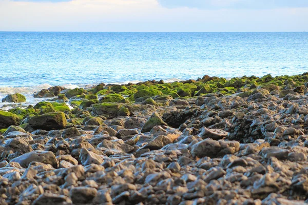 兰萨罗特岛海滩上西班牙的加那利岛 — 图库照片