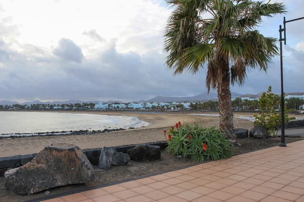 Lanzarote beach på spanska kanariefågel — Stockfoto