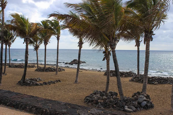 Lanzarote strand op het Spaanse Canarische eiland — Stockfoto