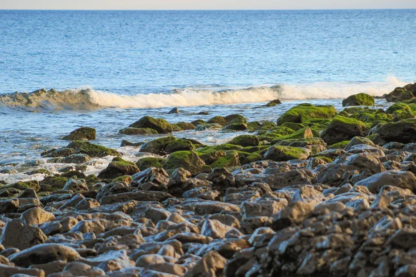 Playa de Lanzarote en la isla española de Canarias —  Fotos de Stock