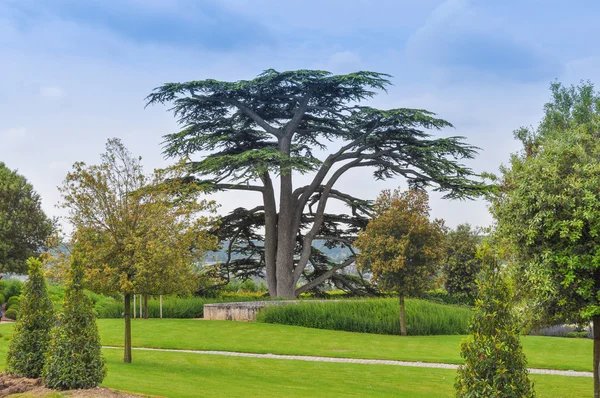 Castelo de Chateau Amboise — Fotografia de Stock