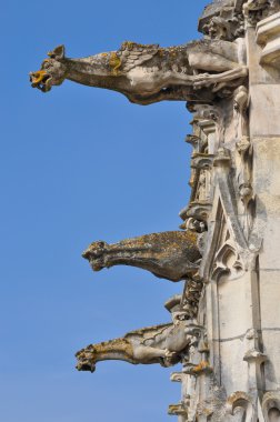 Chateau amboise Kalesi