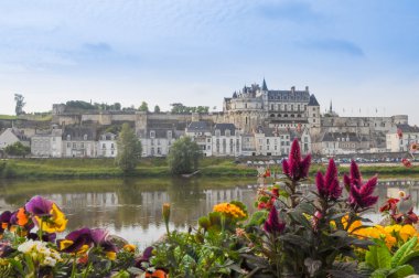 Chateau amboise Kalesi