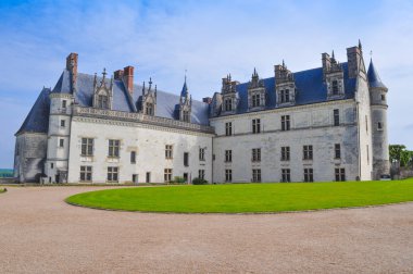 Chateau amboise Kalesi