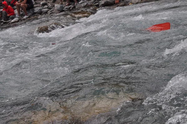 Carton Rapid Race — Fotografie, imagine de stoc