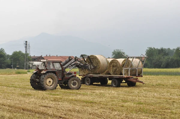 Turín Italia Circa Mayo 2020 Carga Tractores Alrededor Fardos Heno — Foto de Stock