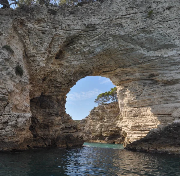 Scogliere Bianche Grotte Marine Vieste Italia — Foto Stock