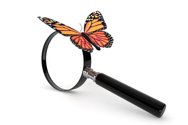 Butterfly met Vergrootglas — Stockfoto