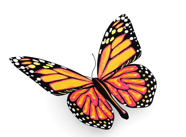 蝴蝶与黄色和橙色的颜色 — 图库照片