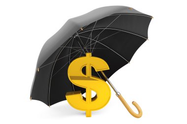 para koruma kavramı. Altın dolar işareti şemsiyesi altında