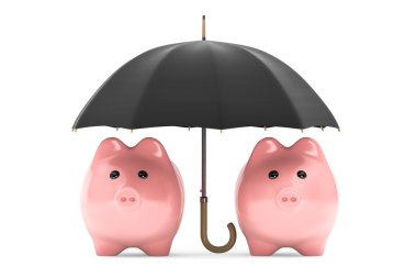 servet koruma kavramı. Piggy bankalar şemsiyesi altında