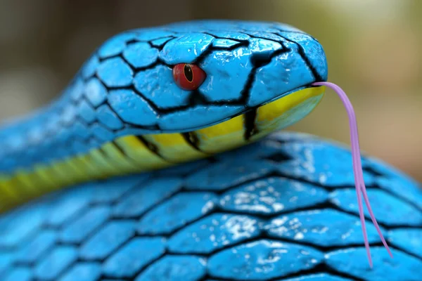 Víbora Azul Trimeresurus Insularis Serpiente Extrema Primer Plano Renderizado — Foto de Stock