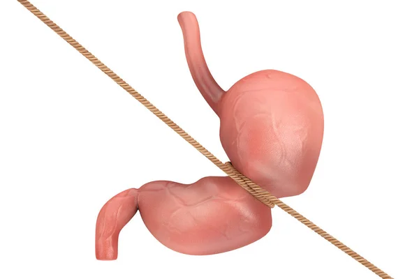 Anatomia Estômago Humano Órgão Interno Amarrado Com Corda Sobre Fundo — Fotografia de Stock
