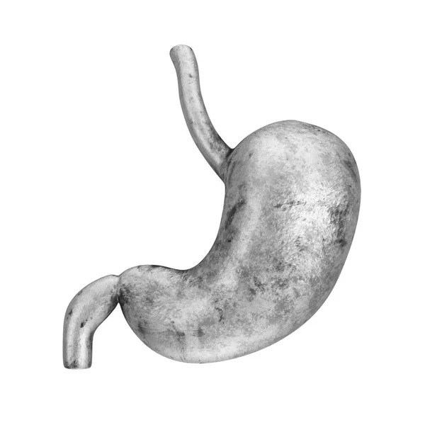 Velho Metal Rústico Anatomia Estômago Humano Órgão Interno Sobre Fundo — Fotografia de Stock
