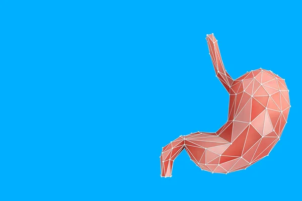 Anatomia Estômago Humano Baixo Poly Órgão Interno Fundo Azul Renderização — Fotografia de Stock