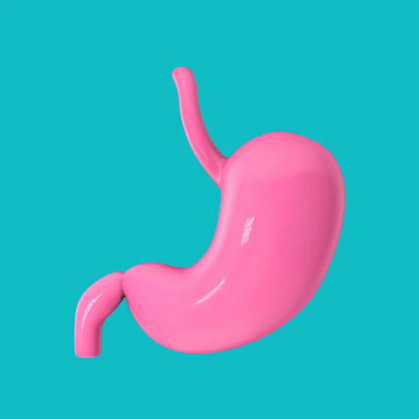 Pink Human Stomach Anatomy Internal Organ Вигляді Стилю Duotone Синьому — стокове фото