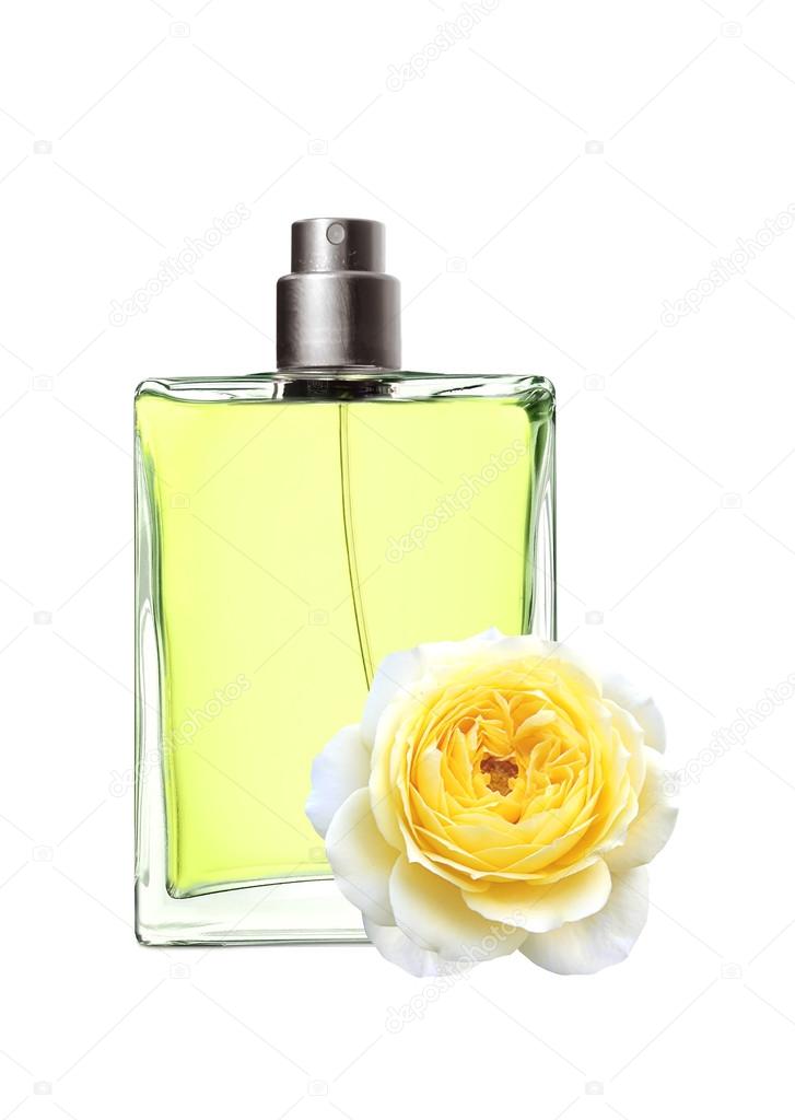 De Dans Isolat Rose Et Parfum Femme Belle Fleur Une Bouteille kXiPTOZu