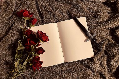 düz yatar kitap ile maket